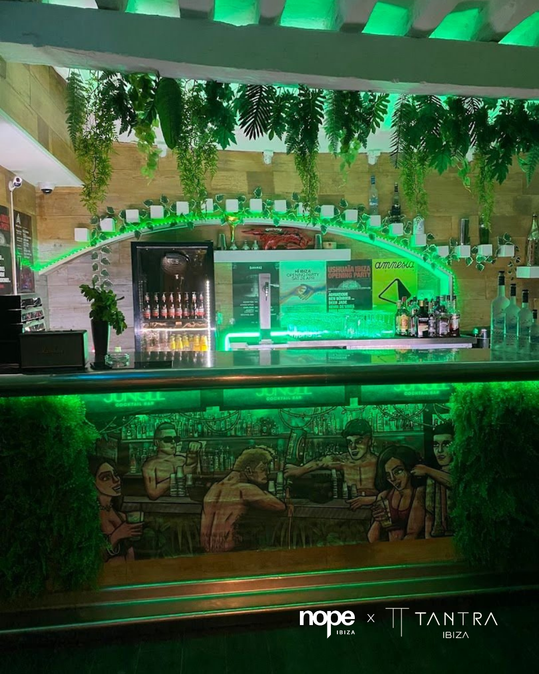 JUNGLE OPEN BAR