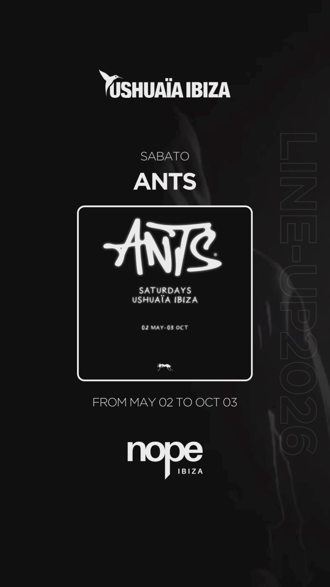 Carica video: ANTS